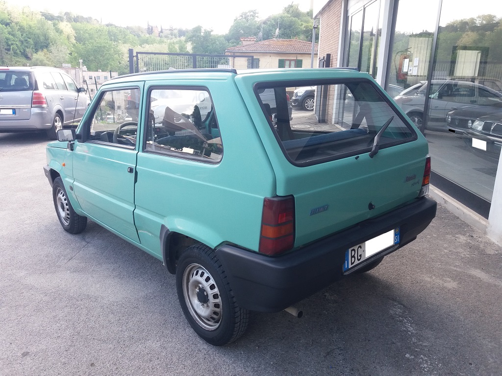 Fiat Panda 900 i.e. cat Young (3)